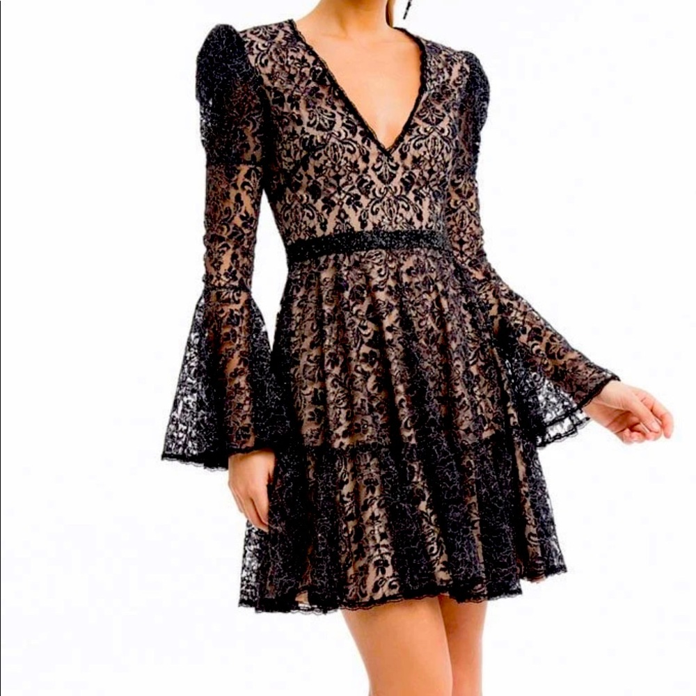 Gorgeous black tan and Silver terani couture dress